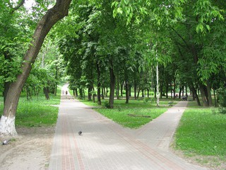 Уникальный дубовый парк