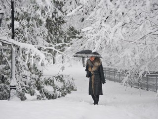 Снег в Киеве будет валить до 8 февраля