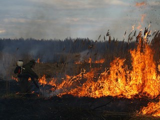 Под Киевом загорелись торфяники