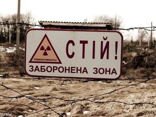 Чернобыльскую зону превратят в заповедник