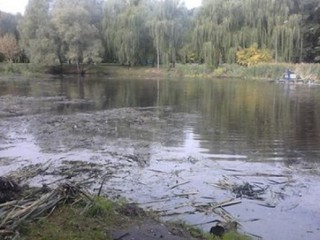 Озеро почистили 