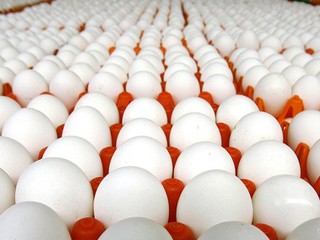 Яйца с оккупированных территорий продаются в Киеве