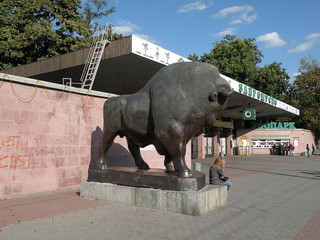 Скандал в киевском зоопарке 