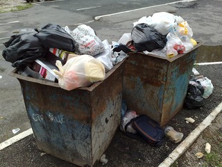 В Киеве крадут мусорные баки