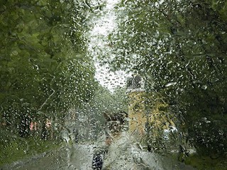 В Киеве ожидаются дожди