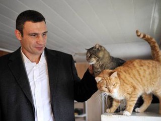 Виталий Кличко и коты