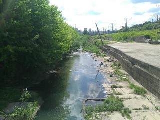 Речку Лыбедь завалило мусором 