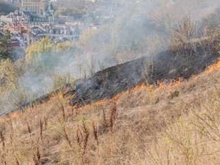 Пожар на Замковой горе