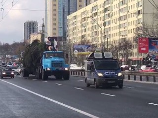 Главная ёлка страны уже в Киеве