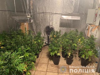 Злоумышленник арендовал дом в одном из сёл Киевской области, где он устроил наркотеплицу