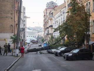 Упавшее дерево заблокировало проезд в центре города
