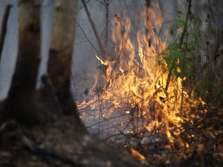 Будьте осторожны с огнём на природе