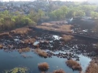 Совские пруды после пожара