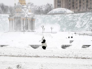 Киев готовится к зиме