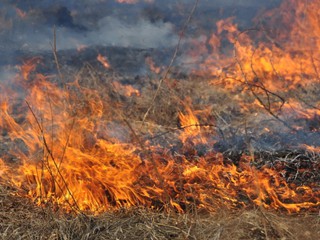 Вокруг Киева горят торфяники 