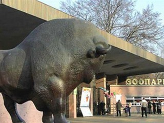У Киевского зоопарка - большие планы