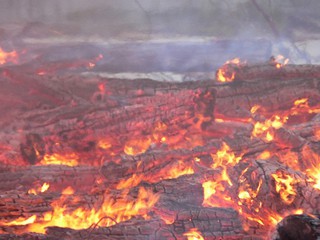 Под Киевом горят торфяники 