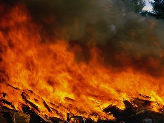 В Киеве тушат пожары