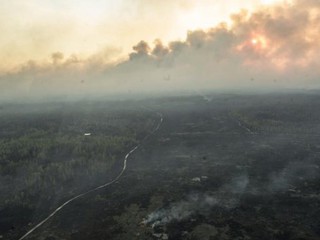 Пожар в зоне отчуждения под Киевом 