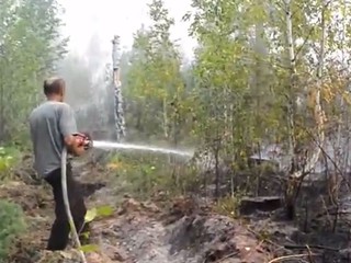 Лесной пожар под Киевом