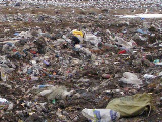 Киев чистят от мусора 