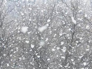 Первый снег