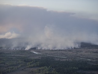Пожар в зоне отчуждения под Киевом
