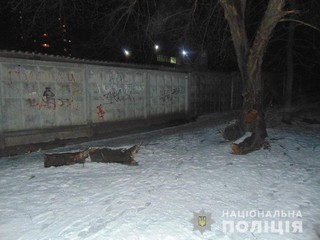 В Днепровском районе мужчина напал на пенсионерку