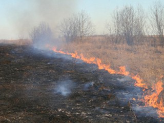 Вокруг Киева горят торфяники 