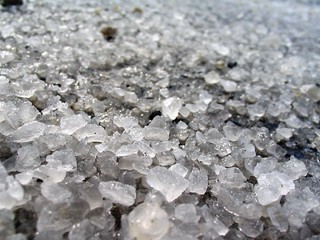 Дороги в Киеве посыпали солью