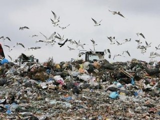 Киев задыхается от мусора 