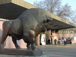 Киевский зоопарк 